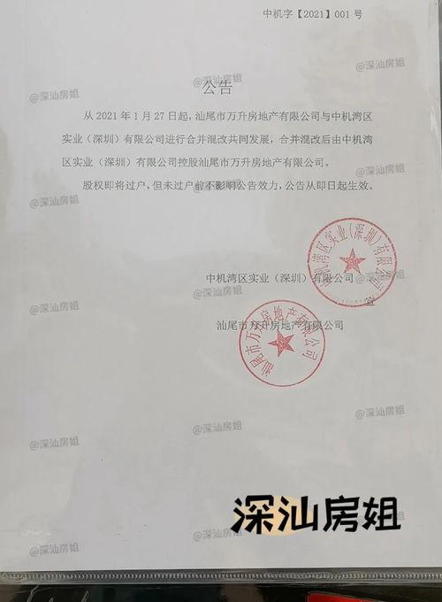 重磅！汕尾高鐵站旁萬升廣場或將易主，國內貿易代理或成新起點